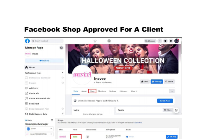 do facebook shop setup, shop instagram,shopify integration